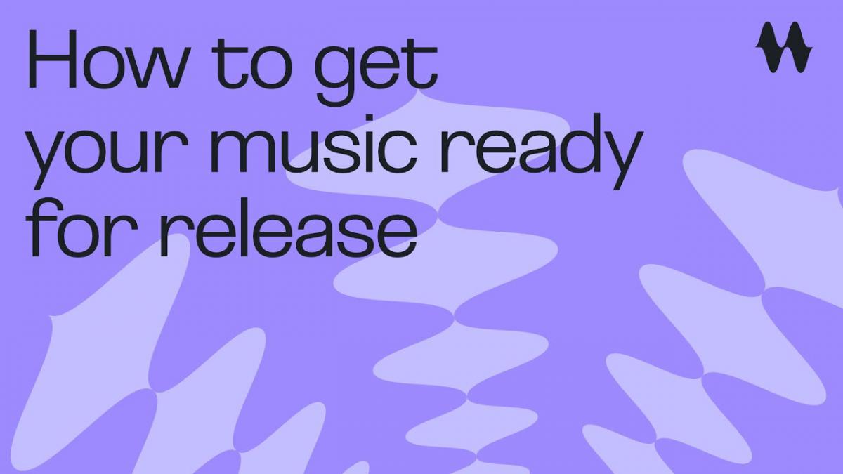  Nieuw distributieplatform Make Waves